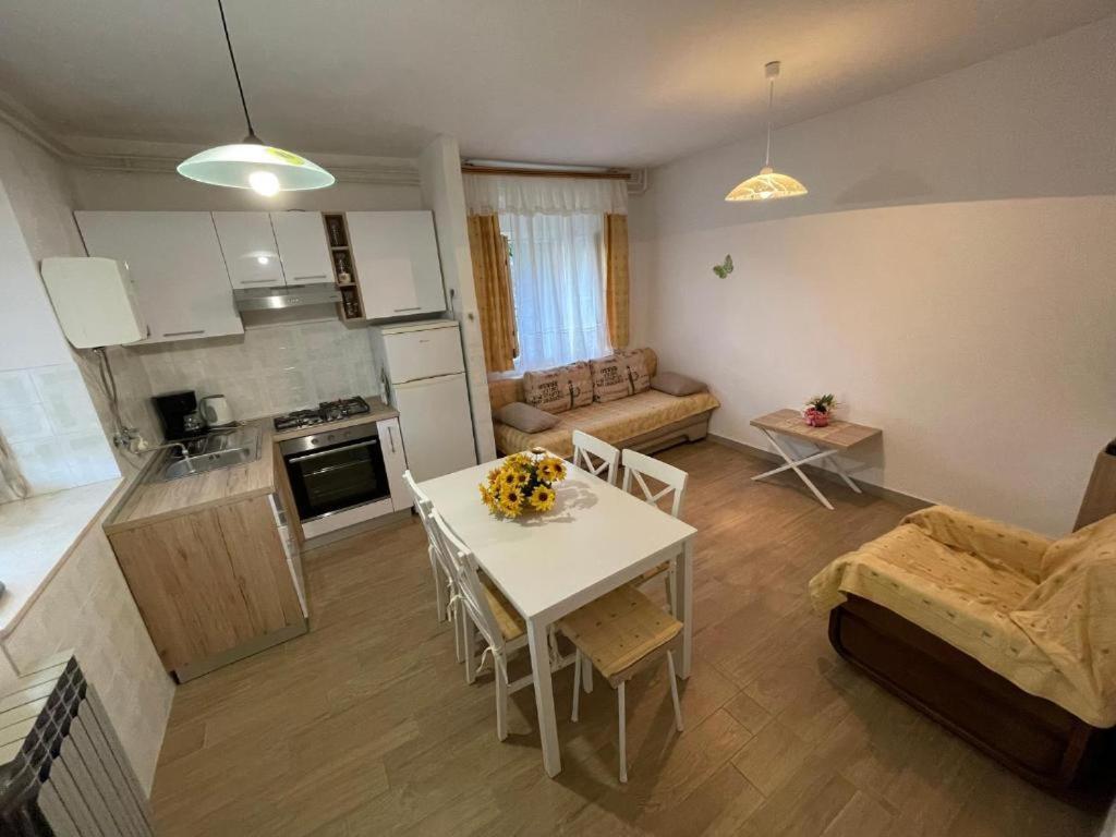 Apartment Felice Novigrad Istria Buitenkant foto